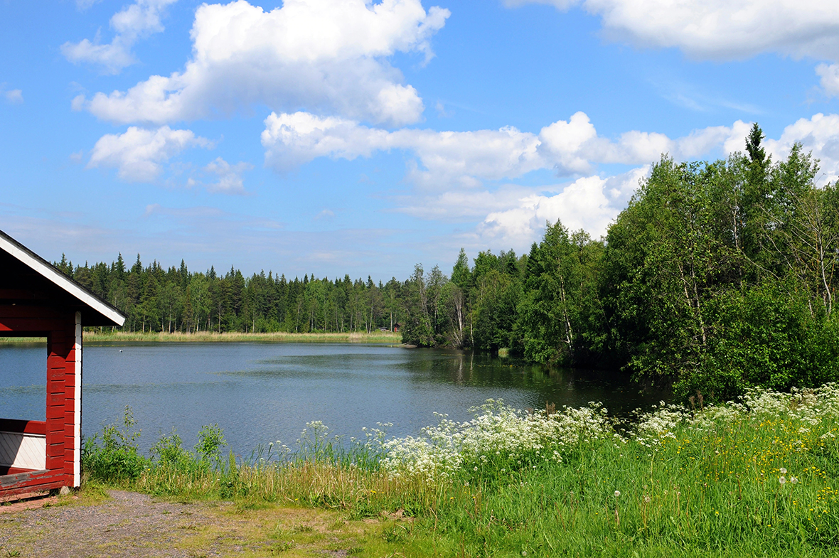 Discovering Finland with Freedom: Your Guide to Car Rentals and Road Trips